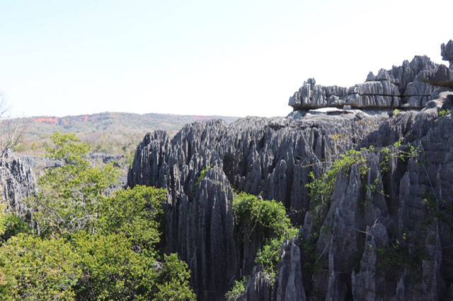 Hike at the Tsingy of Bemaraha